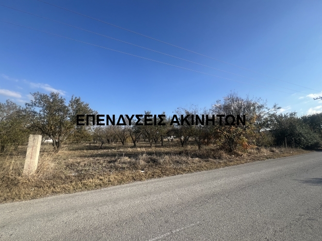 property-img